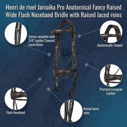 Henri de rivel Jamaika Pro Anatomical Fancy Raised Wide Flash Noseband Bridle with Raised laced reins