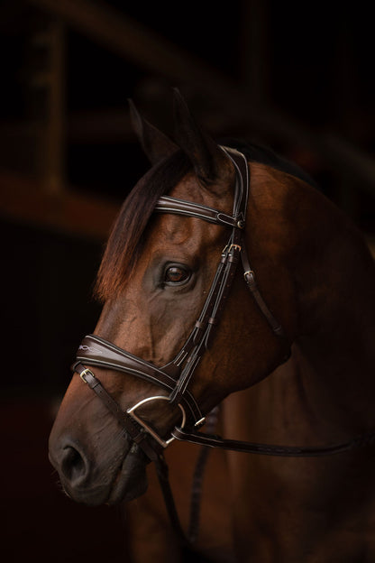 Henri de rivel Jamaika Pro Anatomical Fancy Raised Wide Flash Noseband Bridle with Raised laced reins