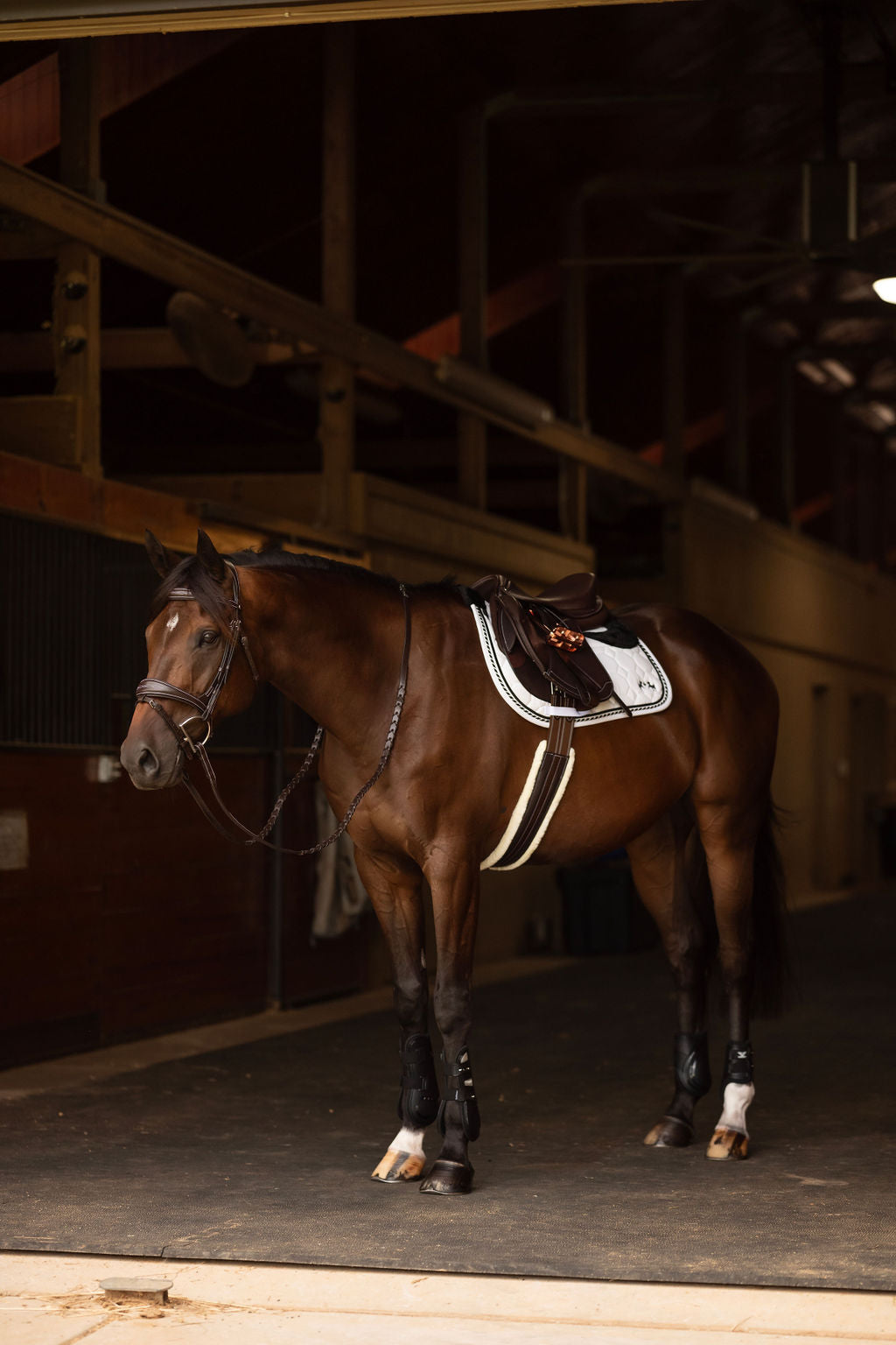 Henri de rivel Jamaika Pro Anatomical Fancy Raised Wide Flash Noseband Bridle with Raised laced reins