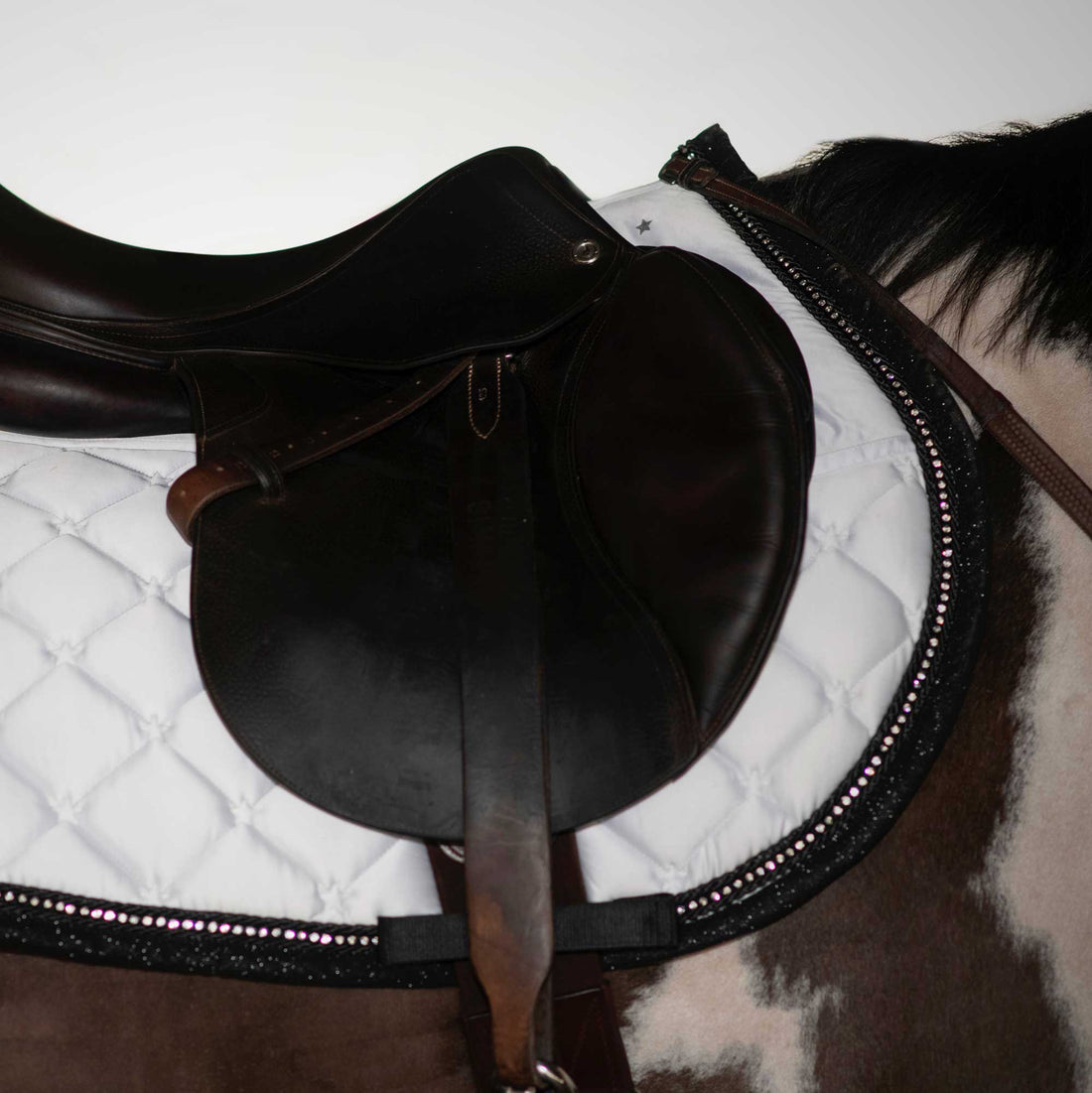 Dapplebay Shine On Jump Saddle Pad