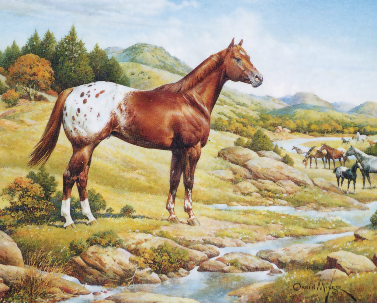 Breyer Ideal Series Appaloosa