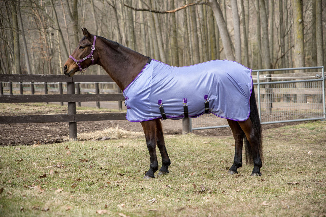 TuffRider Comfy Plus Standard Neck Fly Sheet - Breeches.com