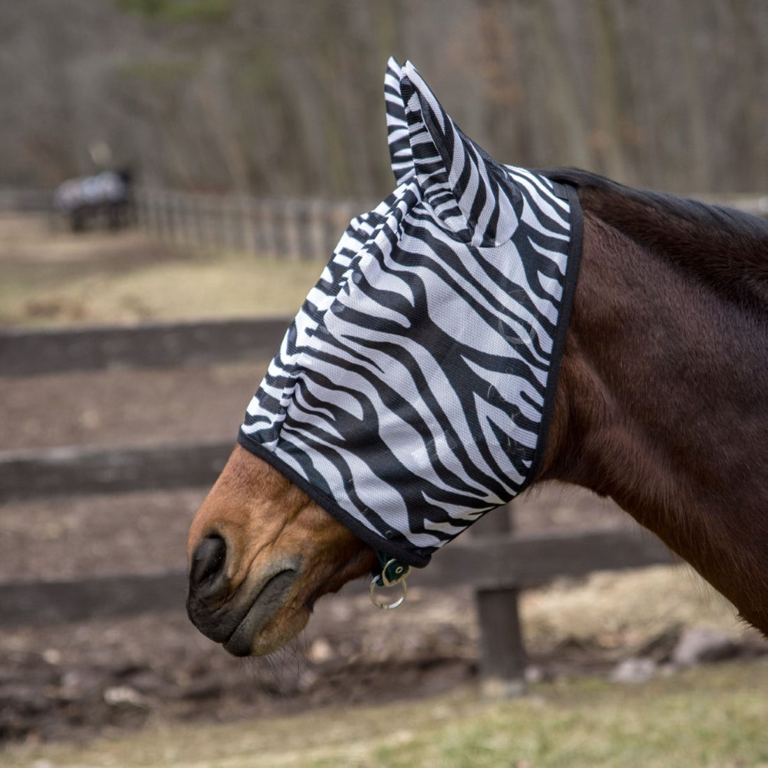 TuffRider Comfy Plus Zebra Print Fly Mask - Breeches.com