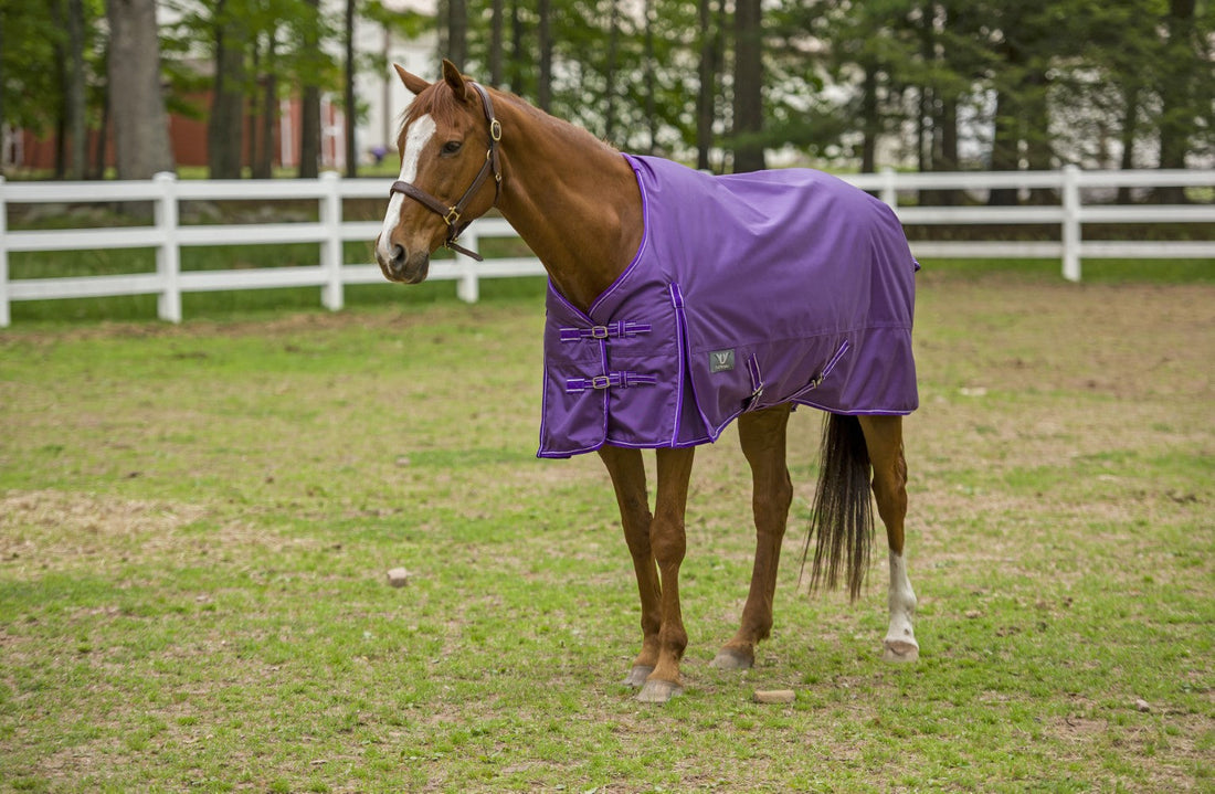 TuffRider 1680 D Super Comfy Medium Weight 200 gms Standard Neck Blanket - Breeches.com