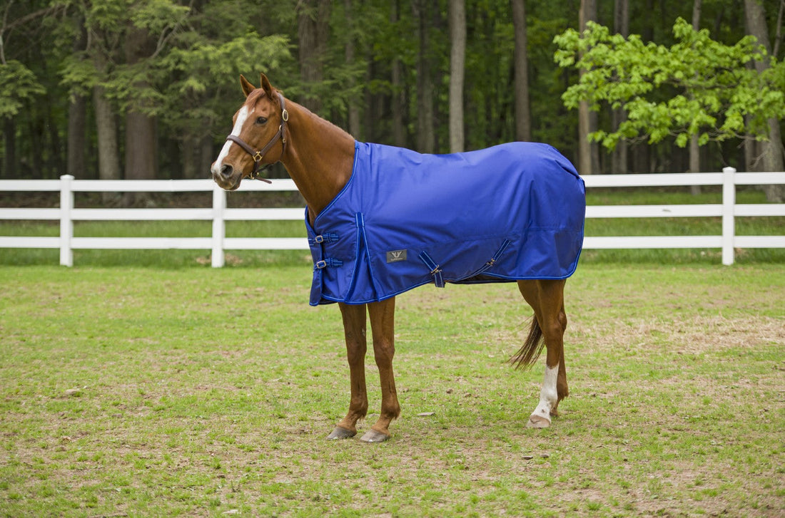 TuffRider 1680 D Super Comfy Medium Weight 200 gms Standard Neck Blanket - Breeches.com