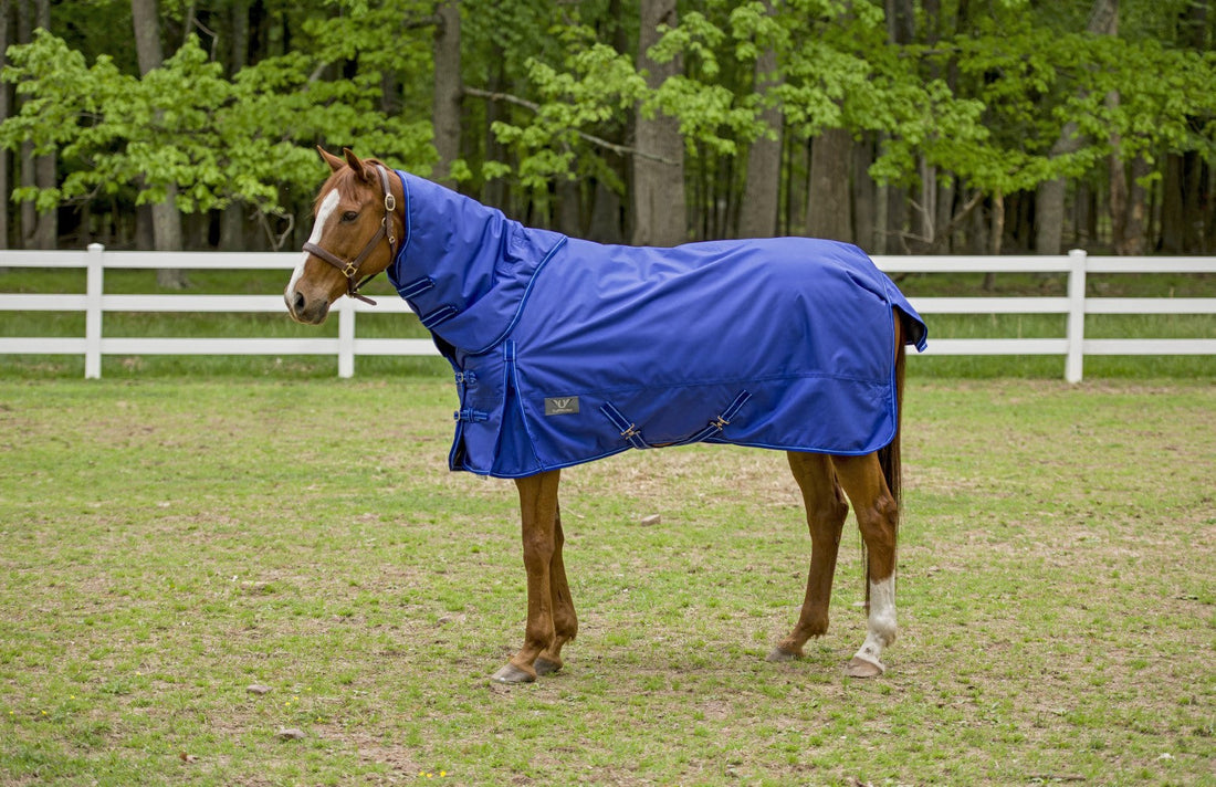 TuffRider 1680 D Super Comfy Heavy Weight 350 gms Detachable Neck Blanket - Breeches.com