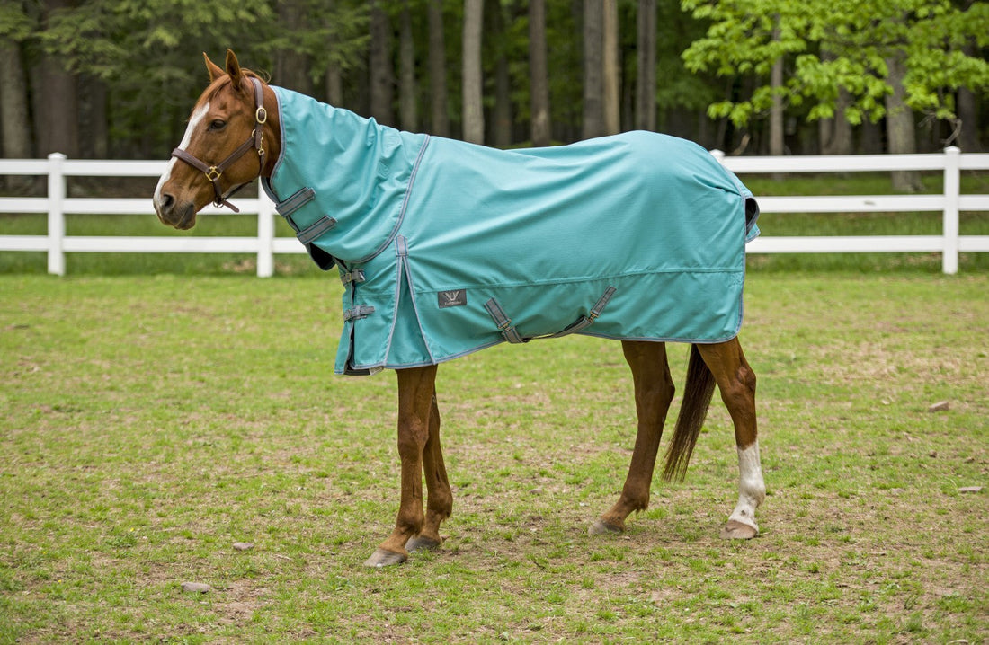 TuffRider 1200D Winter Comfy Detachable Neck Sheet - Breeches.com