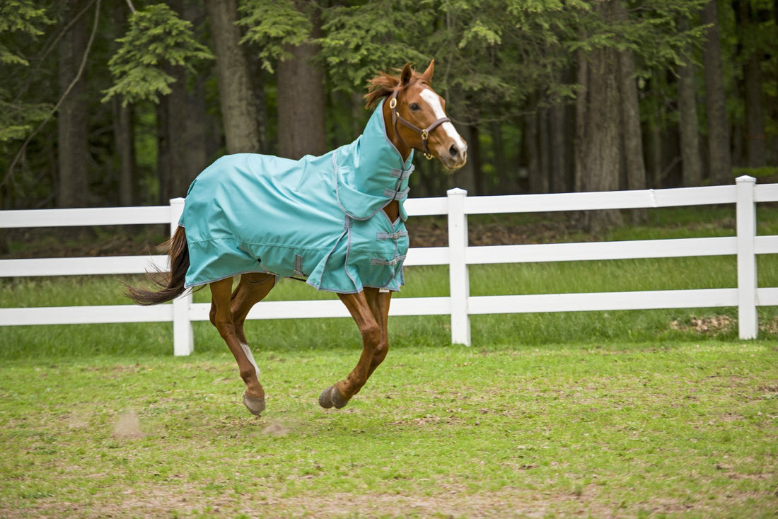 TuffRider 1200D Winter Comfy Detachable Neck Sheet - Breeches.com