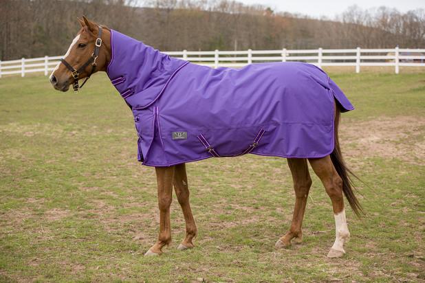 TuffRider 1200 D Comfy Winter Medium Weight Turnout Blanket w/ Detachable Neck - Breeches.com