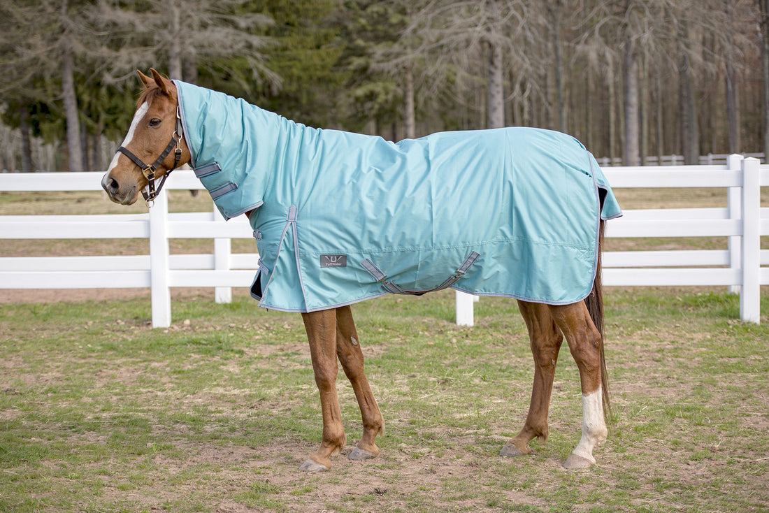 TuffRider 600 D Comfy Winter Medium Weight Turnout Blanket w/ Combo Neck - Breeches.com