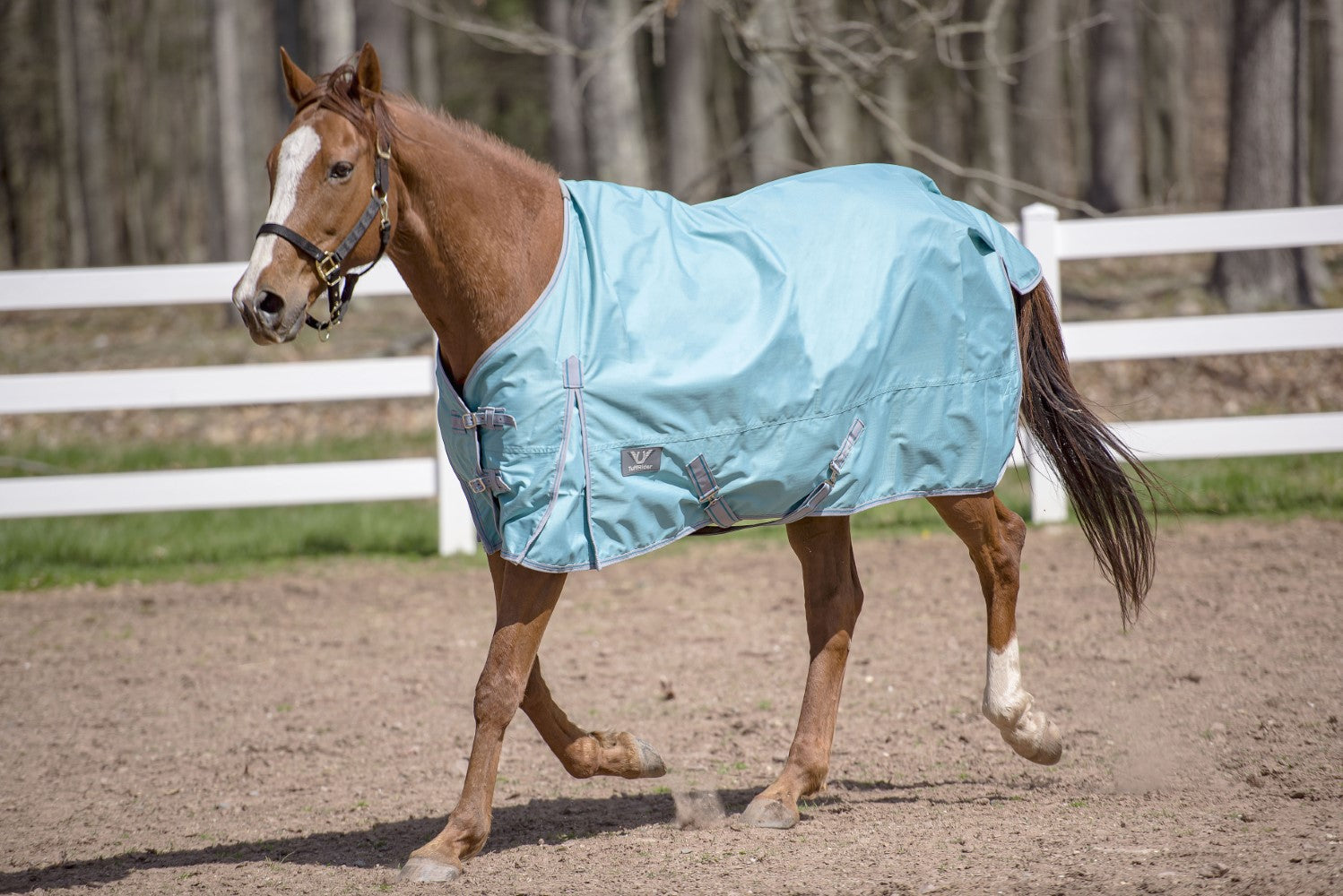 TuffRider 600 D Comfy Winter Standard Neck Turnout Sheet - Breeches.com