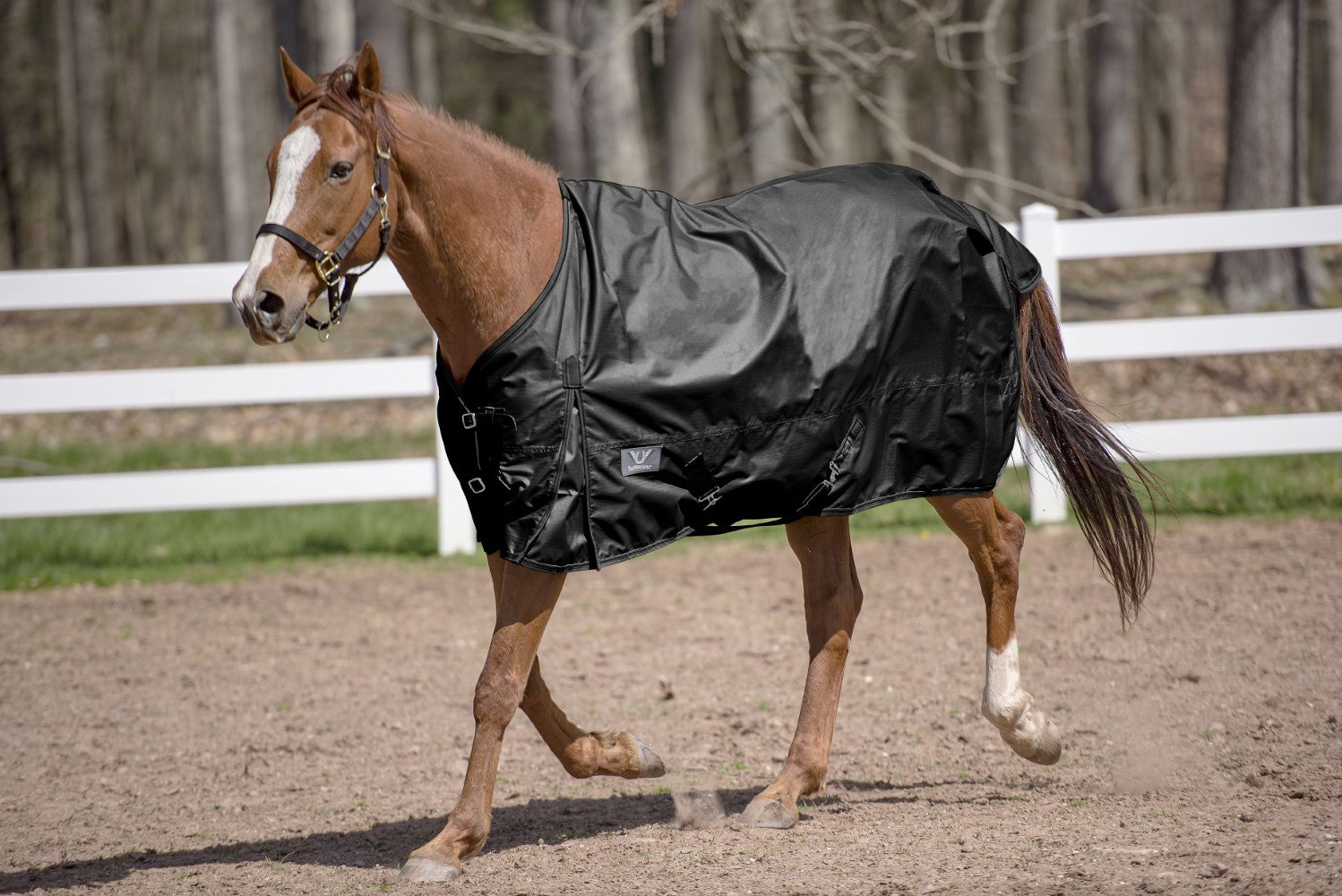 TuffRider 600 D Comfy Winter Standard Neck Turnout Sheet - Breeches.com