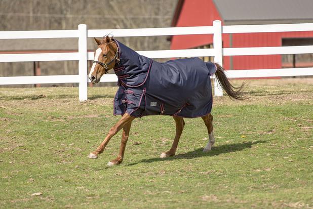 Tuffrider Comfy Heavy Weight Detachable Neck Winter Blanket w/ 350 gms of Fill