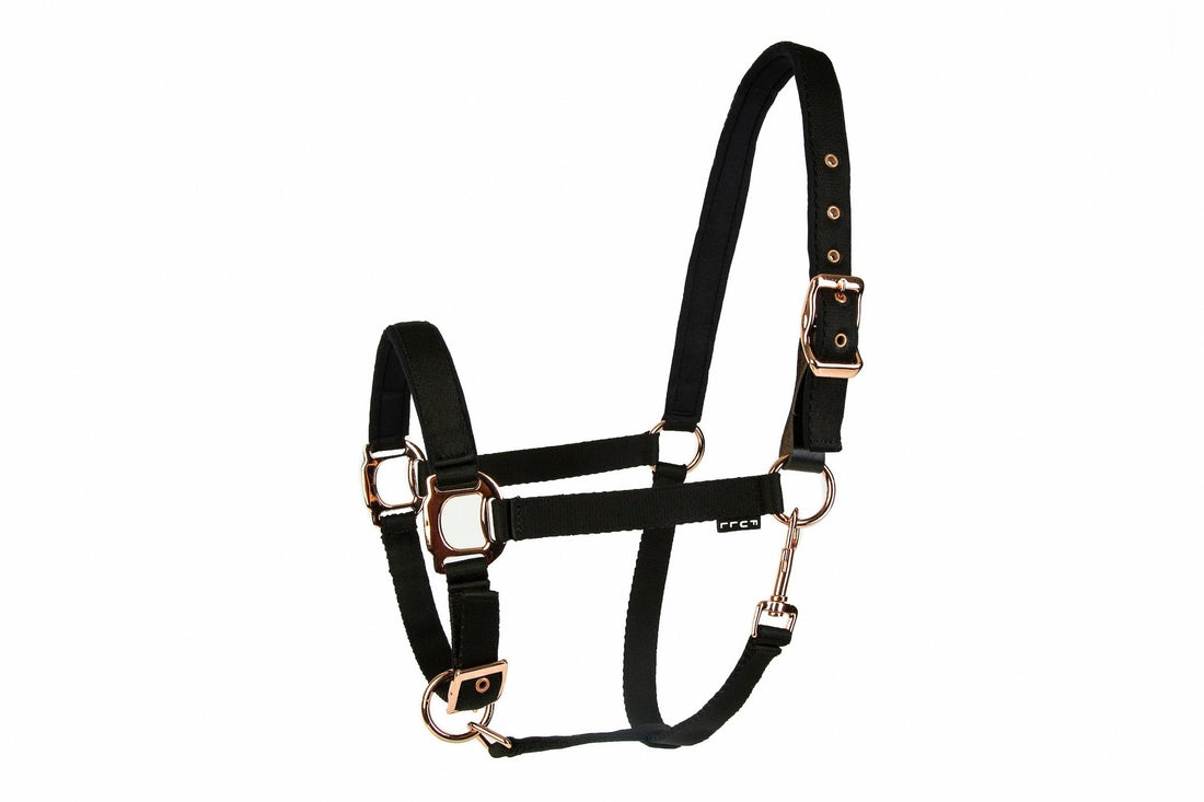 Lettia Rosegold Breakaway Halter - Breeches.com