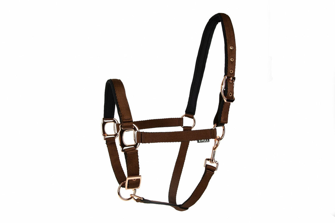 Lettia Rosegold Breakaway Halter - Breeches.com