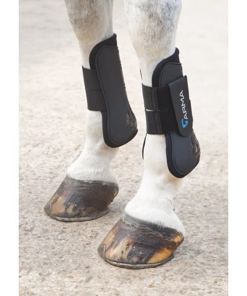 Shires Arma Tendon Boot - Breeches.com