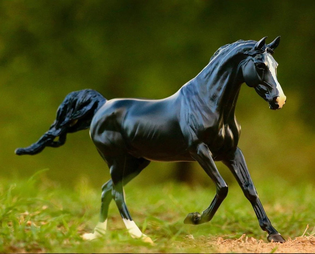 Breyer KB Omega Fahim - Breeches.com