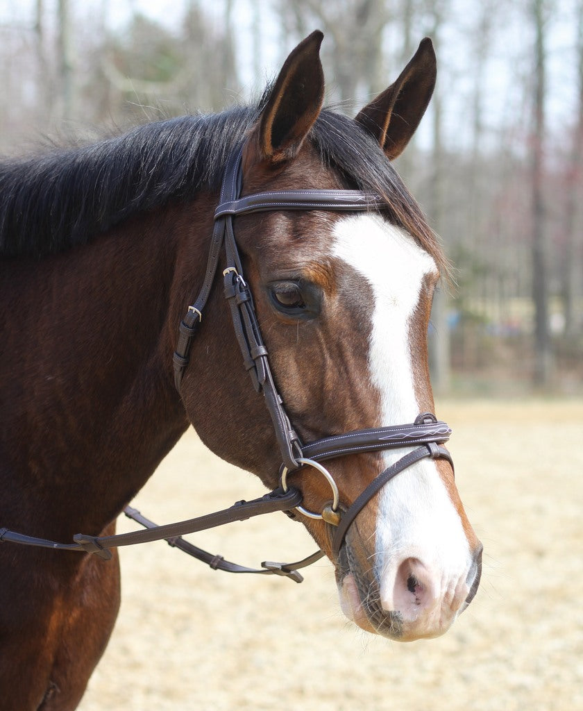 Henri de Rivel Kushy Bridle with Detachable Flash _1