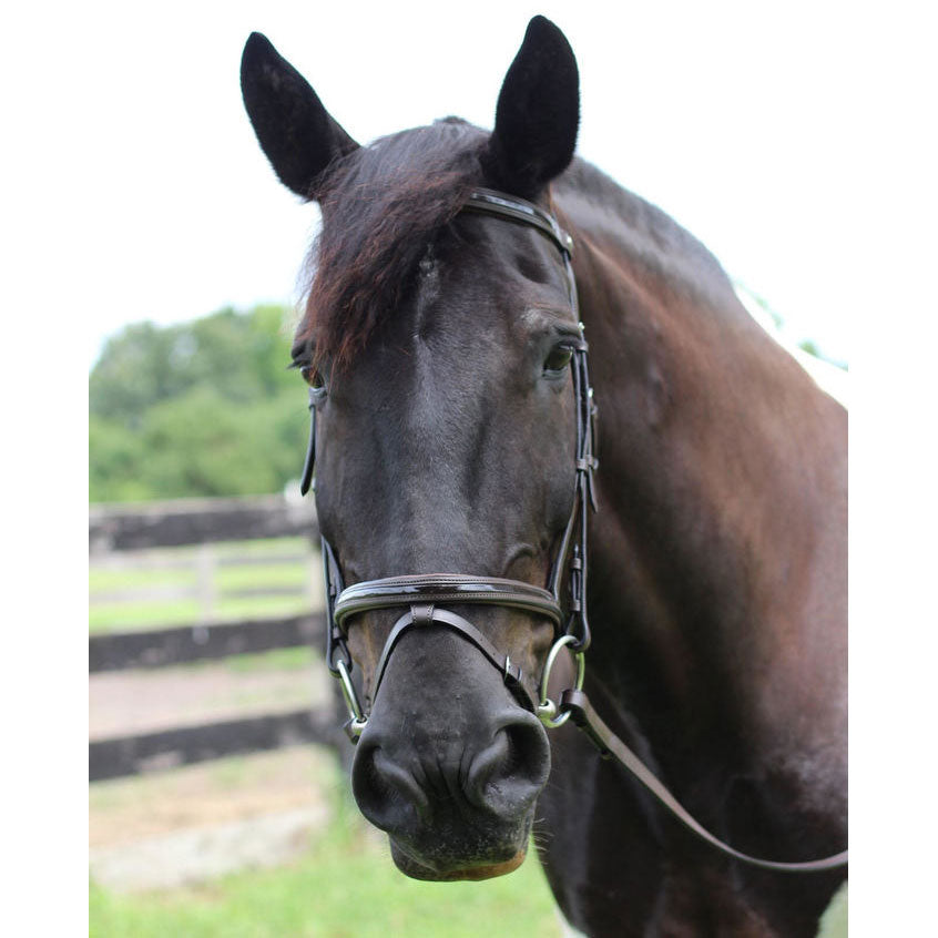 Henri de Rivel Pro Piaffe Mono Crown Bridle with Flash Noseband with Patent Leather and webbed rubber reins with leather stops_4