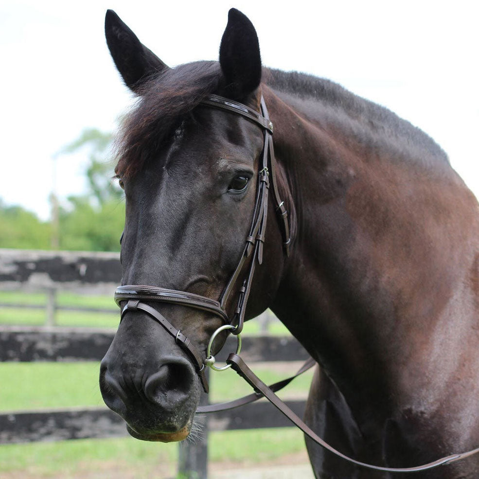 Henri de Rivel Pro Piaffe Mono Crown Bridle with Flash Noseband with Patent Leather and webbed rubber reins with leather stops_5