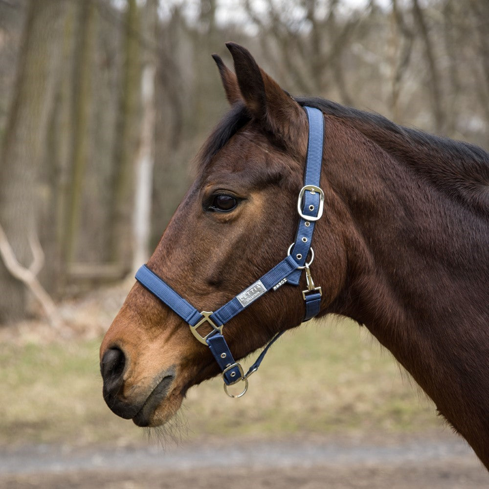 Lettia EquiFine Halter