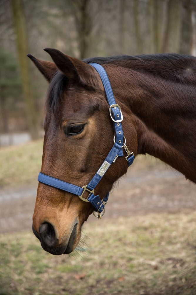 Lettia EquiFine Halter