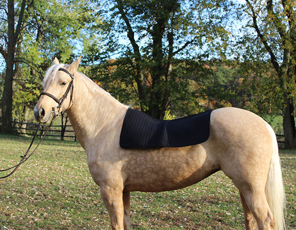 Back on Track Therapeutic Western Saddle Liner - Breeches.com