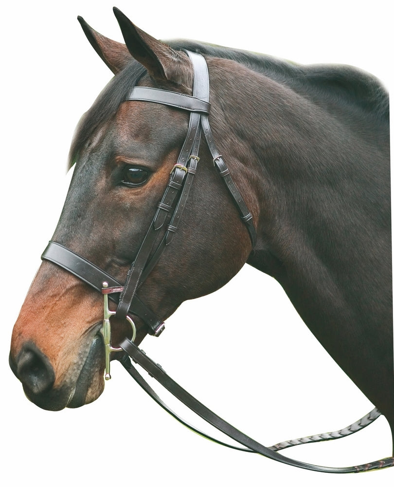 Henri de Rivel Advantage Hunt Bridle_1