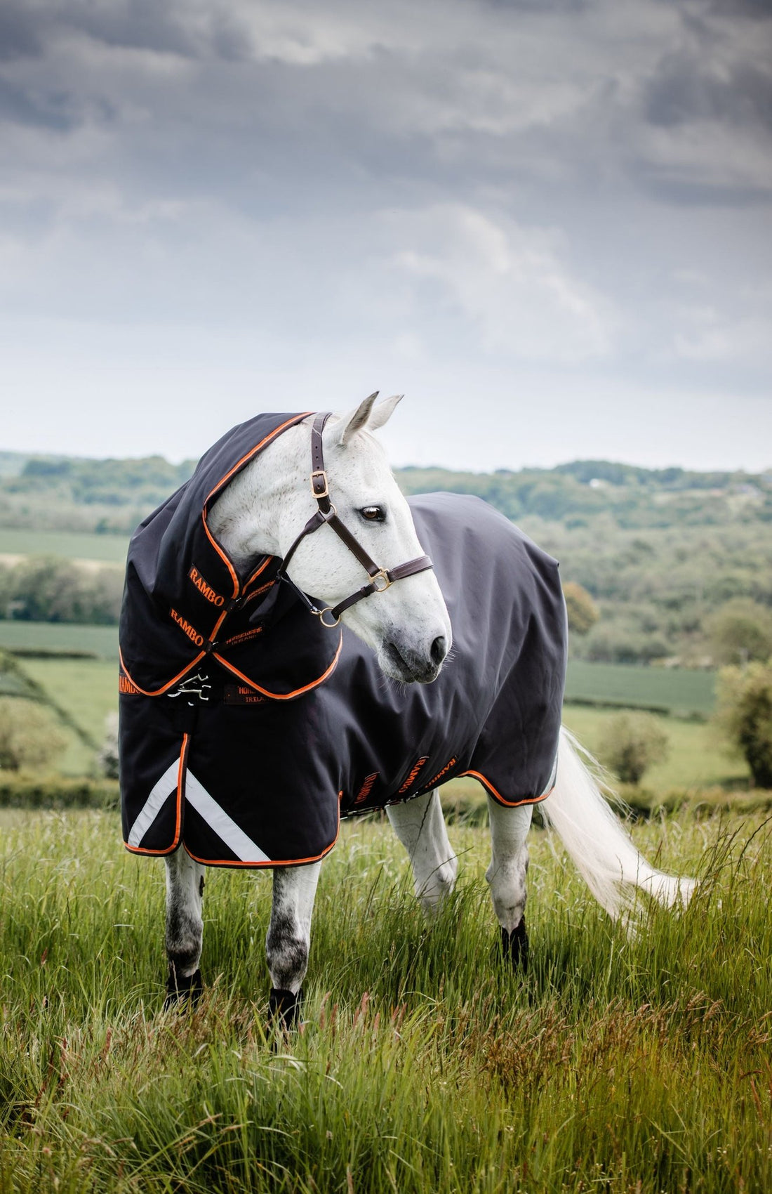 Horseware Ireland RamboÂ® Supreme 1680D Turnout (200g Medium) - Breeches.com