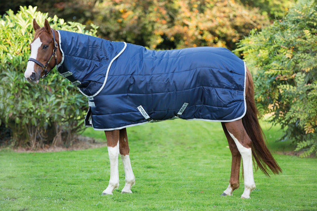 Horseware Ireland AmigoÂ® Insulator Plus Turnout w/ Hood (200g Medium) - Breeches.com