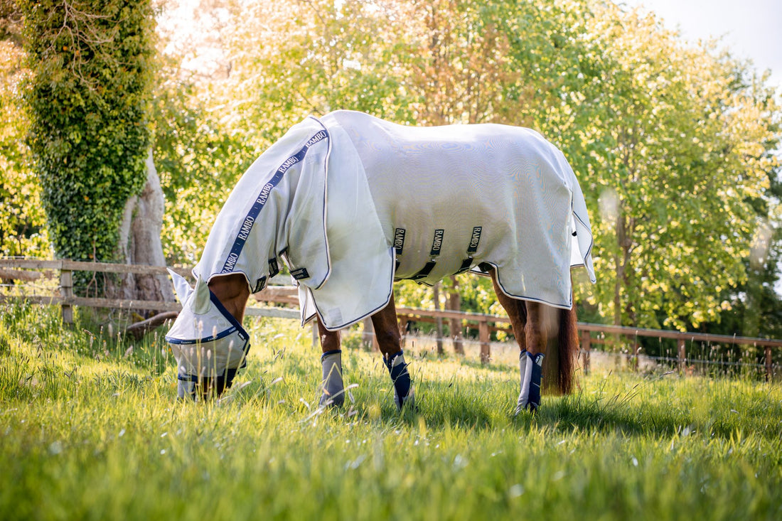 Horseware Ireland Rambo® Protector Fly Sheet (No fill) - Breeches.com