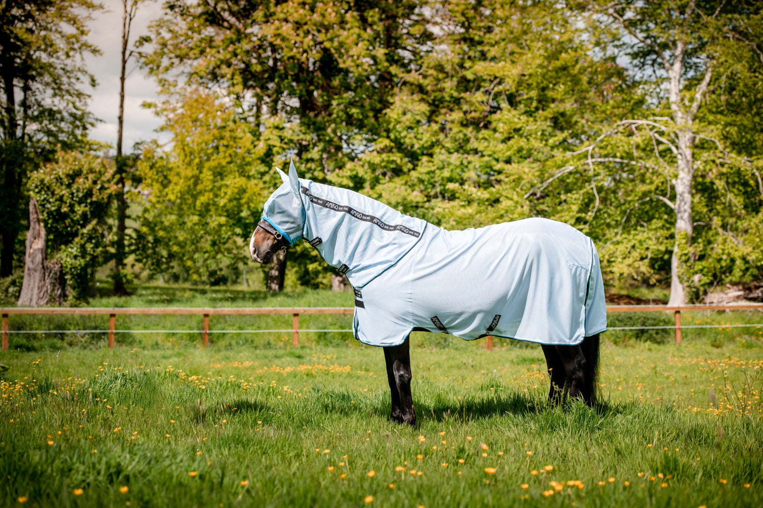 Horseware Ireland Amigo® Bug Rug Fly Sheet (No fill) - Breeches.com