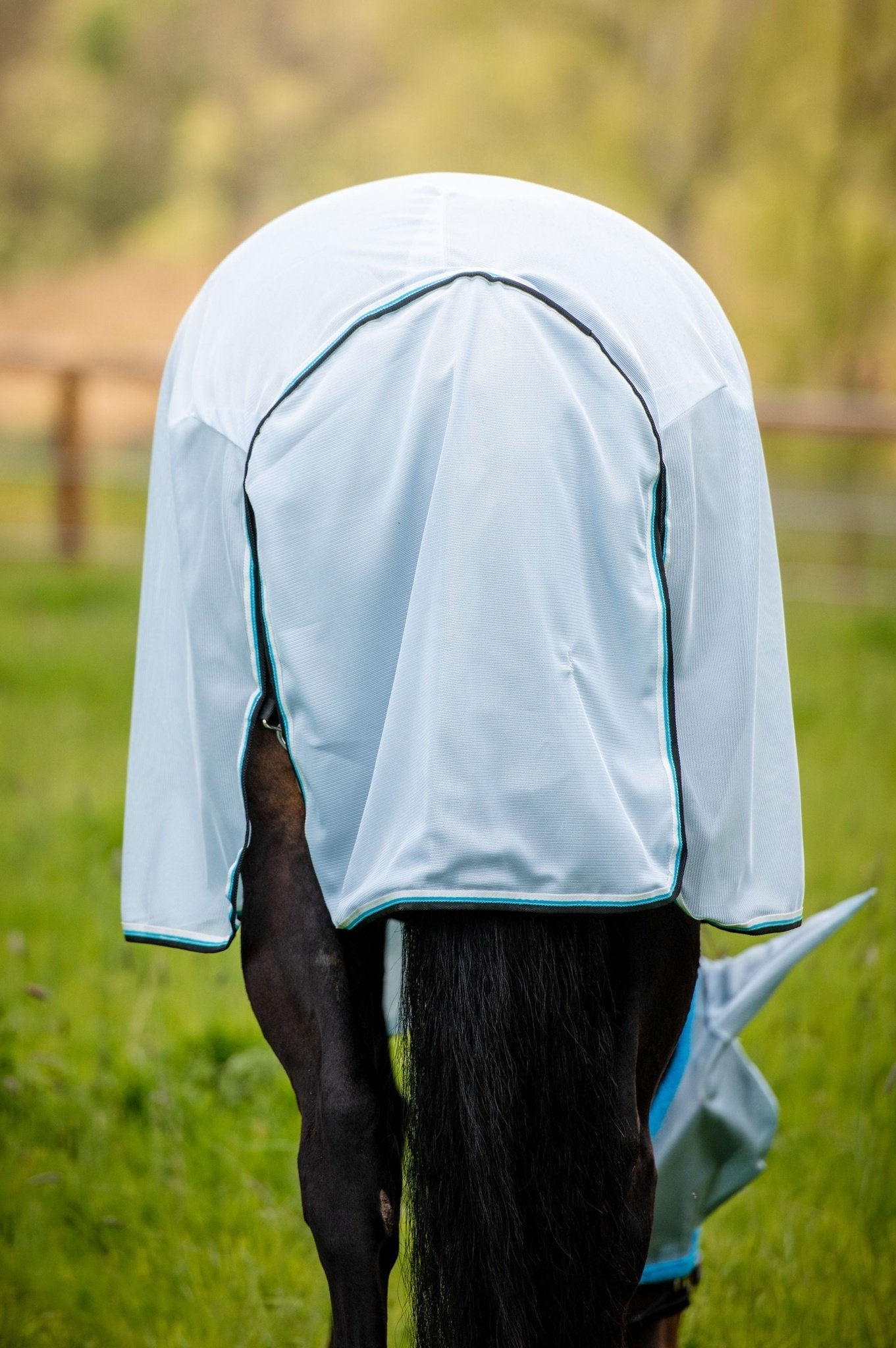 Horseware Ireland Amigo® Bug Rug Fly Sheet (No fill) - Breeches.com