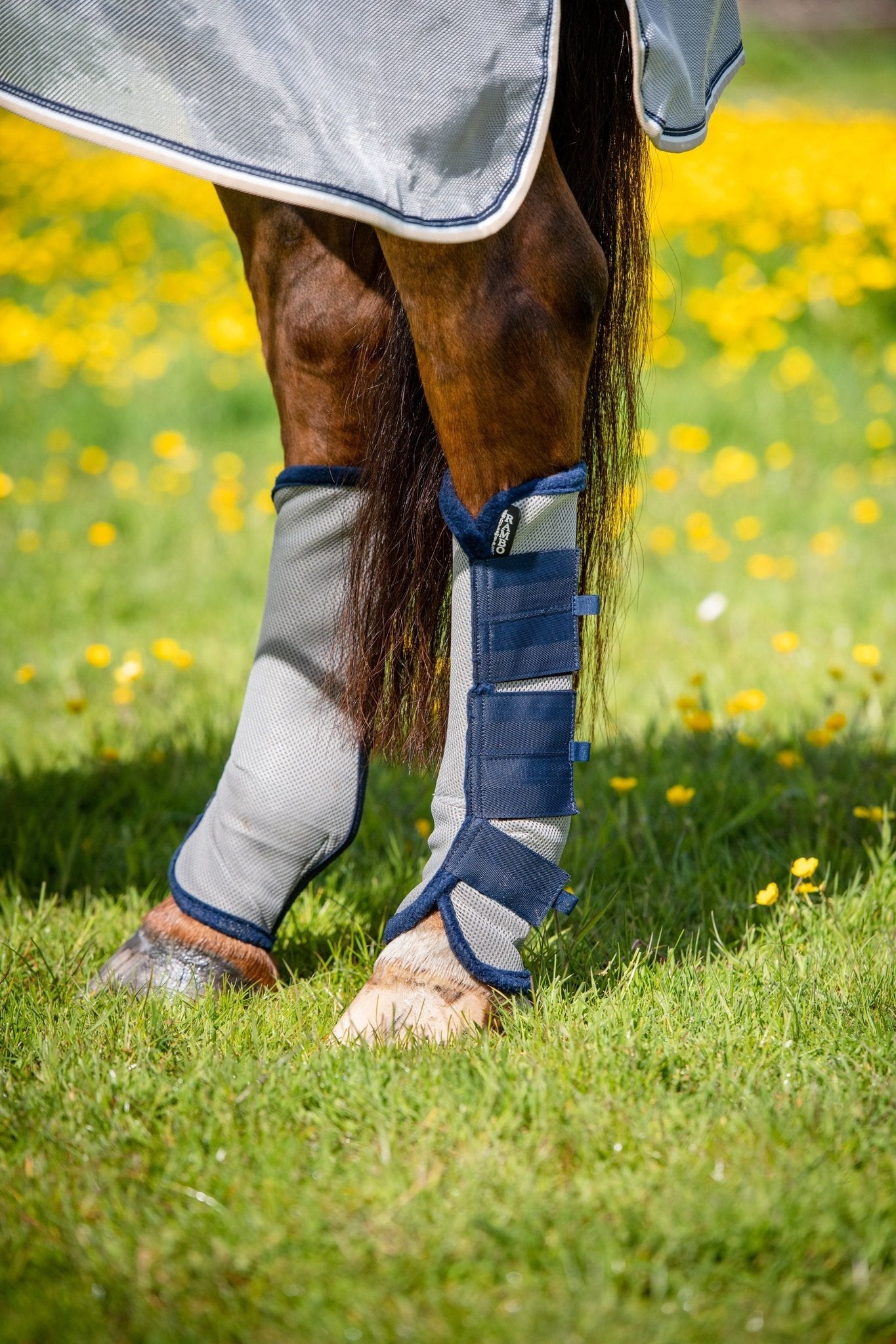 Horseware Ireland Flyboot - Breeches.com