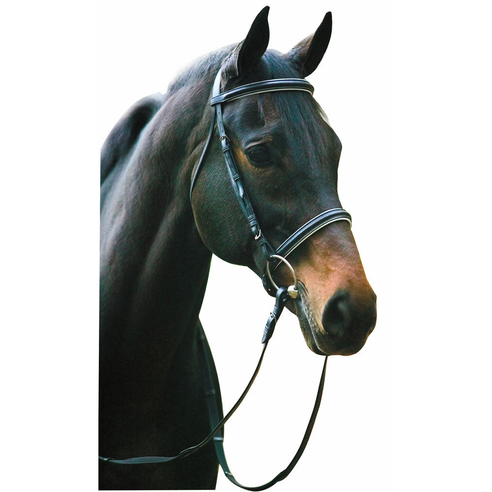 Henri de Rivel Pro Padded Dressage Bridle with Web Reins_6