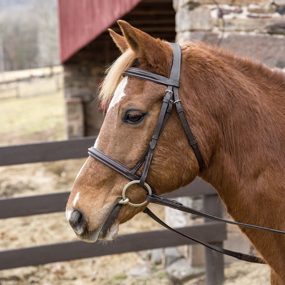 Henri de Rivel Pro Mono Crown Padded Bridle - Breeches.com