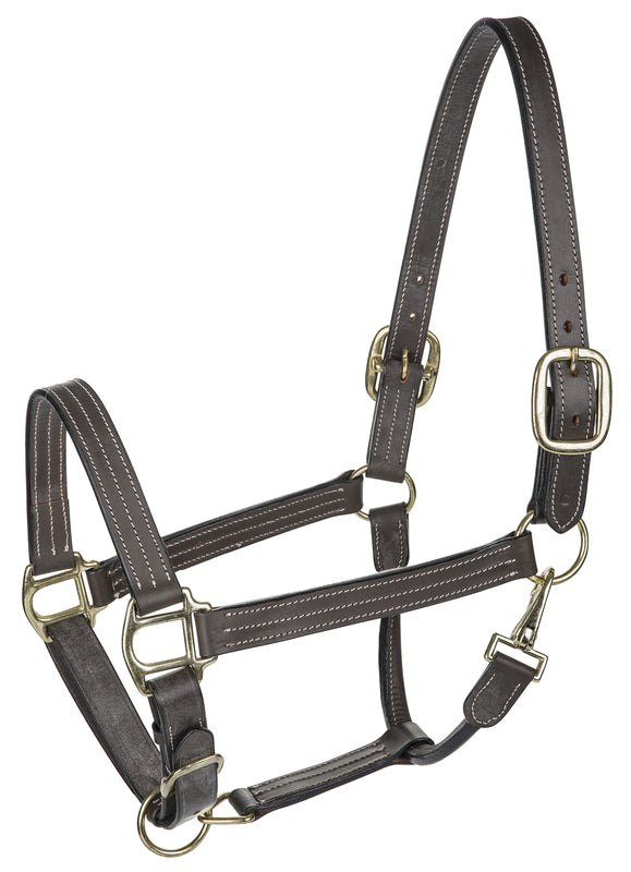 Rolled Leather Halter — Equus Couture